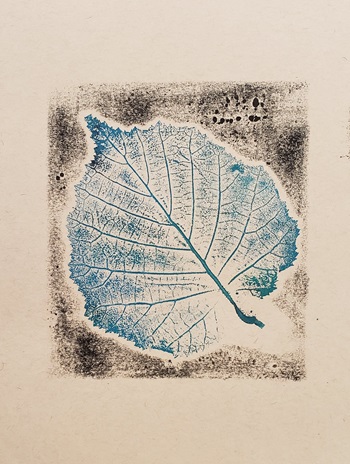 The image features a leaf print displayed on a white surface. This artistic representation could be interpreted as a drawing or sketch, resembling a map in its intricate details. It showcases the beauty of nature through art.