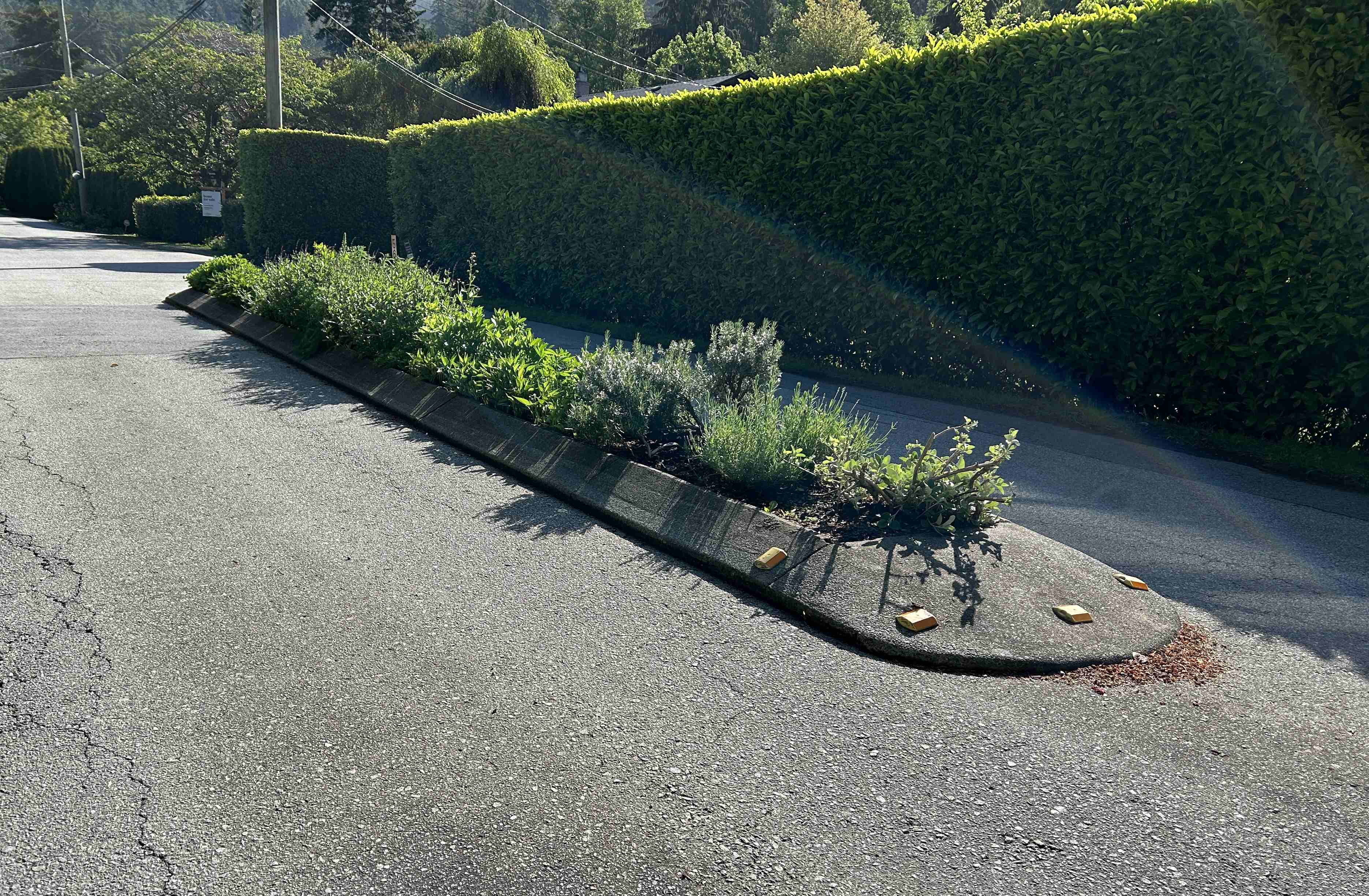 Traffic calming - other measures