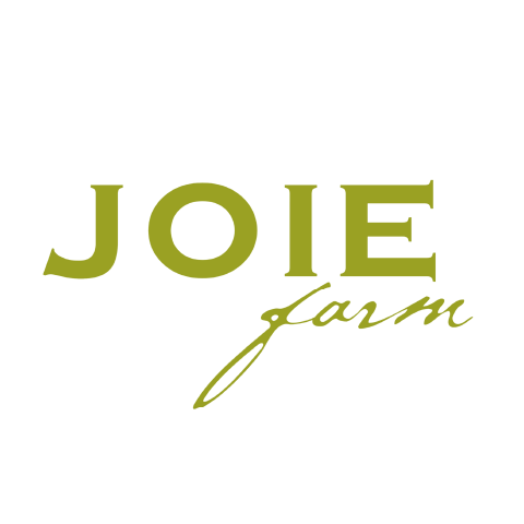 The image features a black background with bold green text that reads "JOIE Larm." It showcases a distinct font, highlighting aspects of typography and graphic design. The overall aesthetic emphasizes the contrast between the colors and the clean design elements.