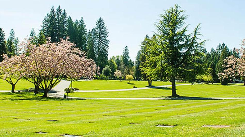 Cemetery grounds with trees