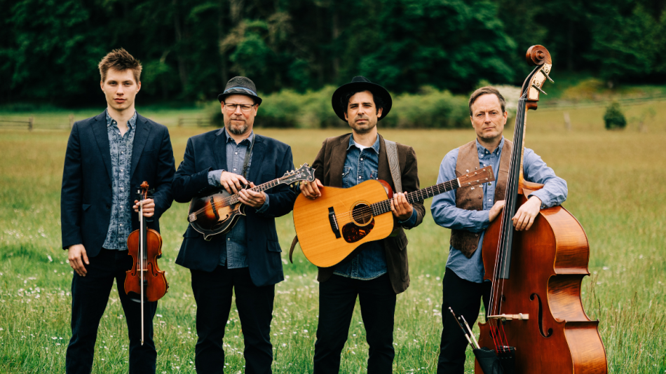 A group of four male musicians stand in a grassy field, holding their instruments. The background consists of a line of dark green trees and a blurred hint of a wooden fence and a distant field. The overall tone of the image is earthy and natural, with the greens of the field and trees being dominant, contrasted by the warm browns of the instruments and the musicians' attire. The lighting appears soft, suggesting an overcast day or late afternoon.