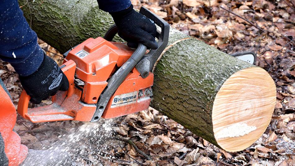 A orange chainsaw cuts through a medium sized log.