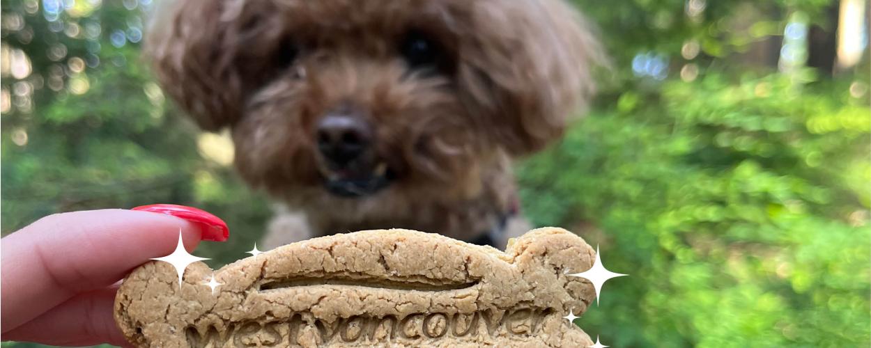 dog biscuit