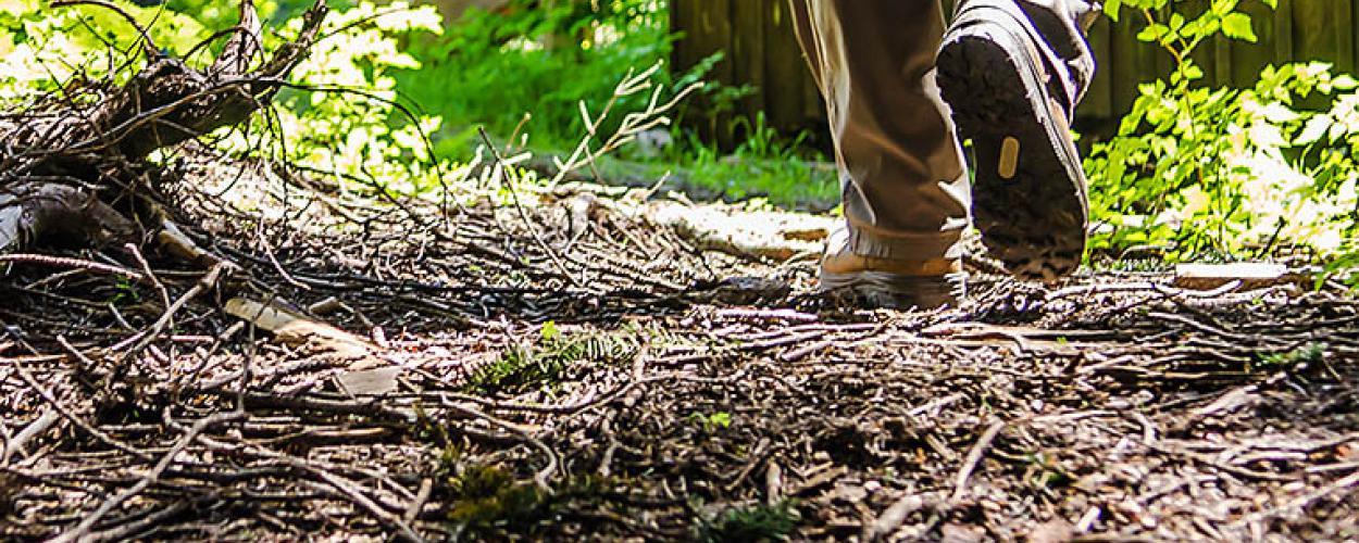 A ground level shot of a pair of hiking boots walking away on a forest path.