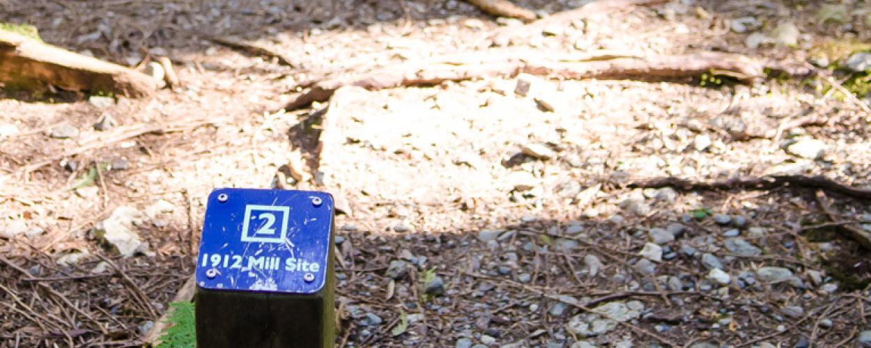 A blue trail marker for the 1912 Mill Site along the Brother's Creek Forestry Heritage Walk.