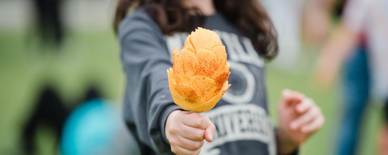 Fresh mangos from Mexico. Peeled and ready to eat on a stick.