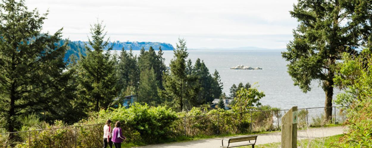 The Seaview Walk over looking a body of water with a small iceberg floating in the background. 