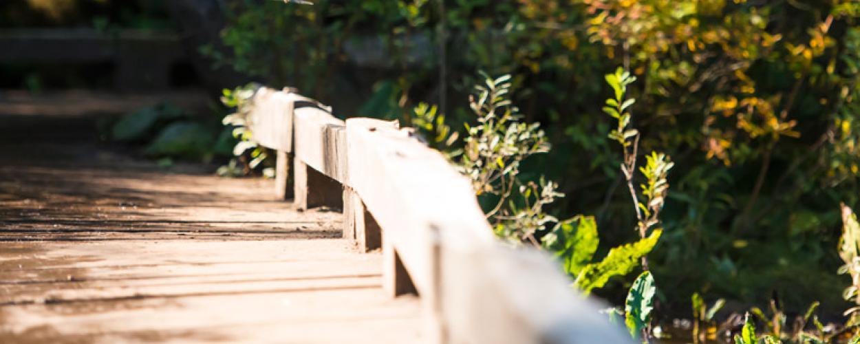 A small wooden bridge on the Trans Canada trail. 