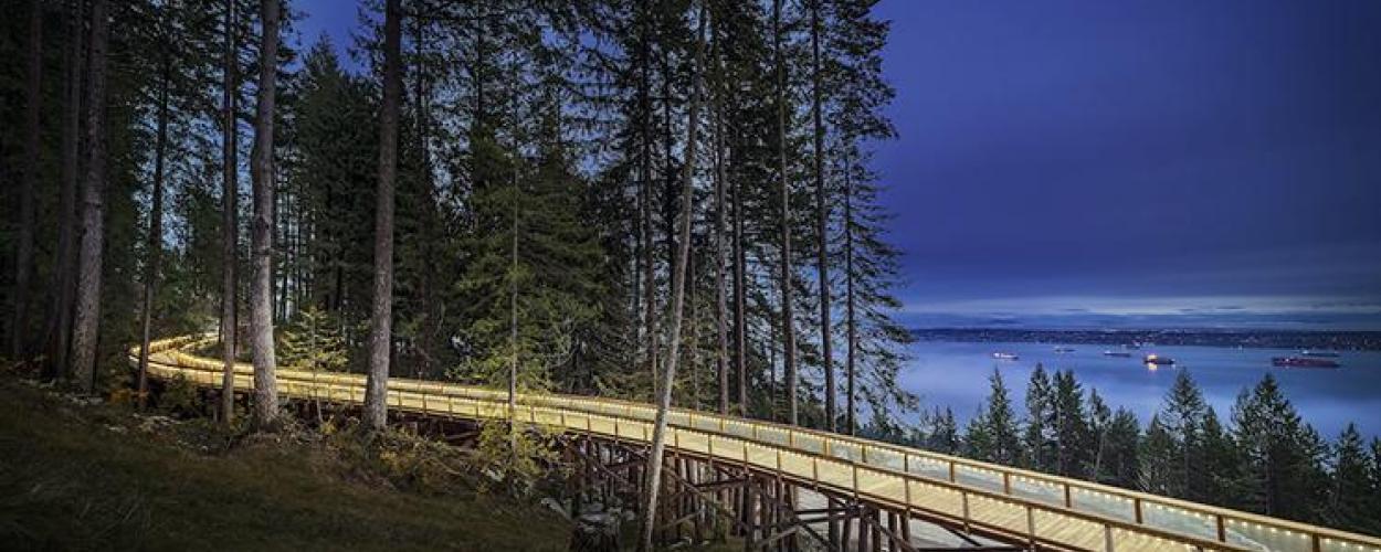 Trestle bridge going into forest