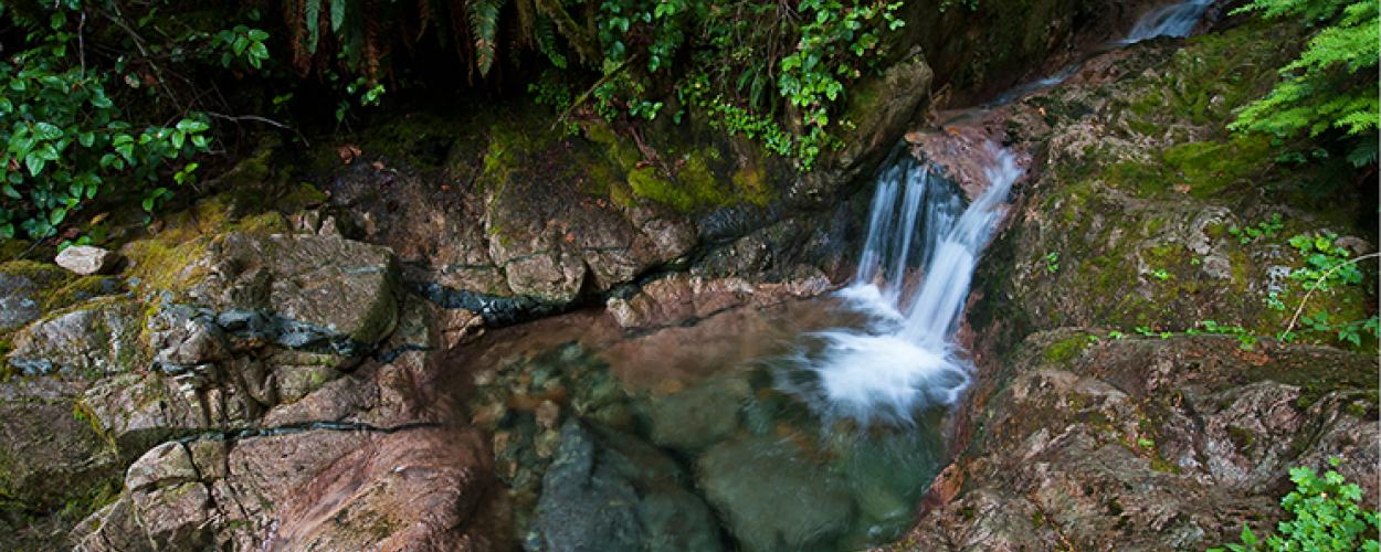 Waterfall in a creek