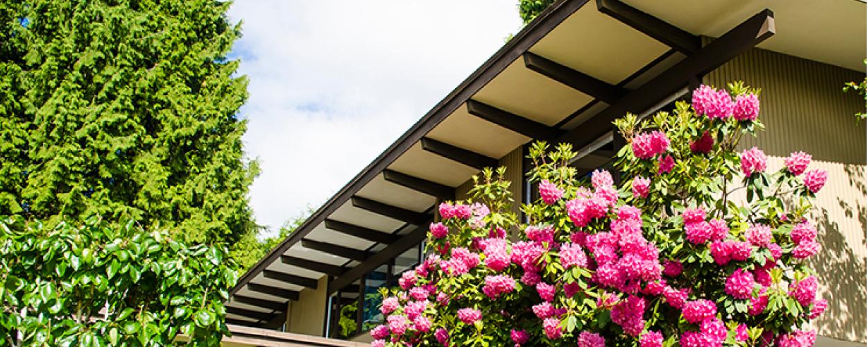 A corner of the exterior of the Toby House, decorated with a bush of pink flowers.