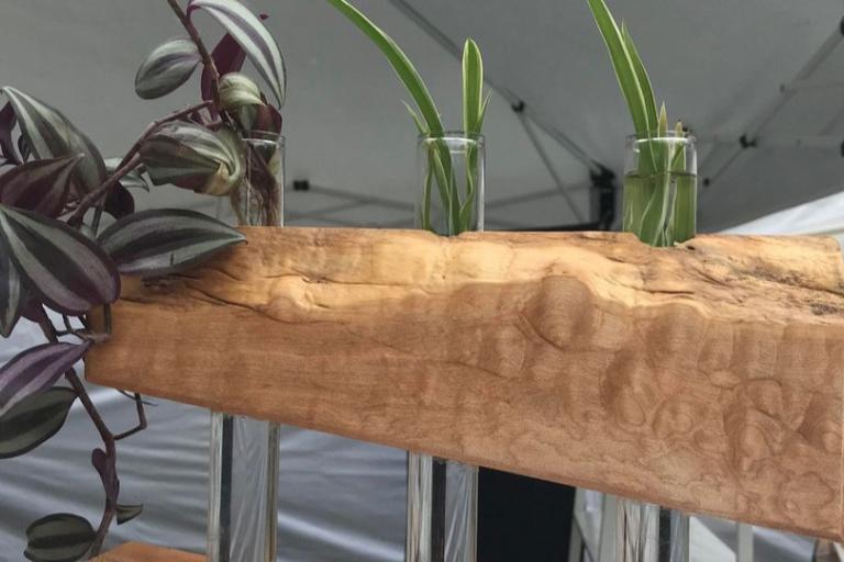 The image displays a close-up, eye-level view of a unique plant propagation station. The station is crafted from a light-colored wood with prominent grain patterns, featuring a distinctive angled design. It consists of two wooden blocks. The lower block is a solid, wedge-shaped piece with a horizontal top surface. The upper block is a larger, rectangular piece, also with a horizontally oriented bottom surface, that is positioned above the lower block, creating a gap between them. This upper block is cut at 