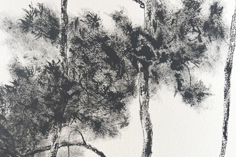 This is a black and white ink drawing of a cluster of trees, likely pines, rendered in a loose and expressive style. The scene is focused on the upper portions of the trees, with their branches and foliage dominating the composition. The background is a plain, textured white, suggesting paper.