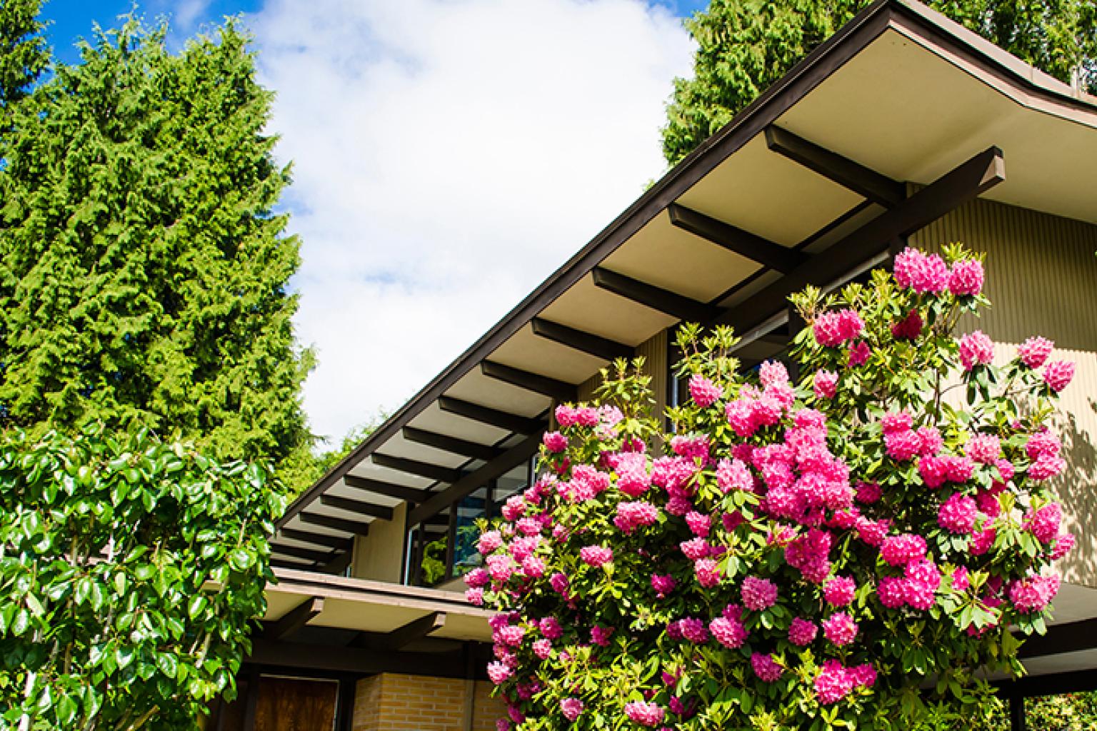 A corner of the exterior of the Toby House, decorated with a bush of pink flowers.
