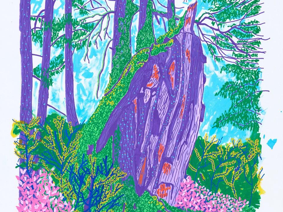 The image is a vibrant, stylized illustration of a forest scene, rendered in a bold, graphic manner with a limited color palette dominated by purples, greens, and blues.