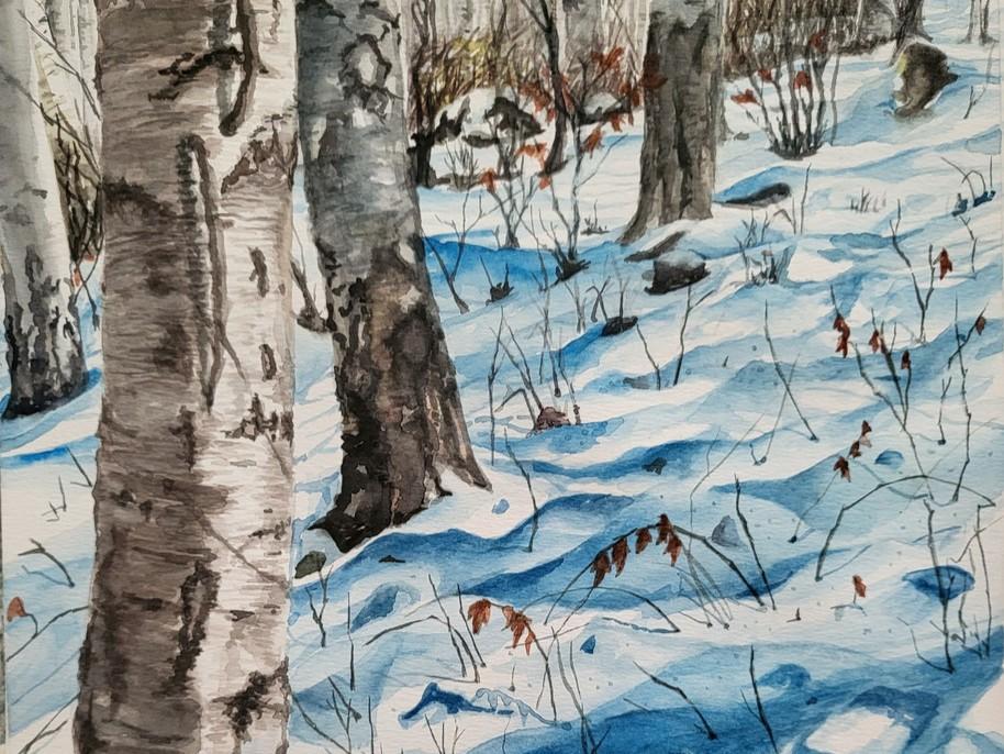 This is a watercolor painting depicting a winter forest scene. In the foreground, the trunks of several birch trees dominate the left side of the composition. These trees have characteristic white bark with dark vertical markings and rough texture. The painting is rendered in a realistic style, with detailed bark patterns and subtle variations in color.