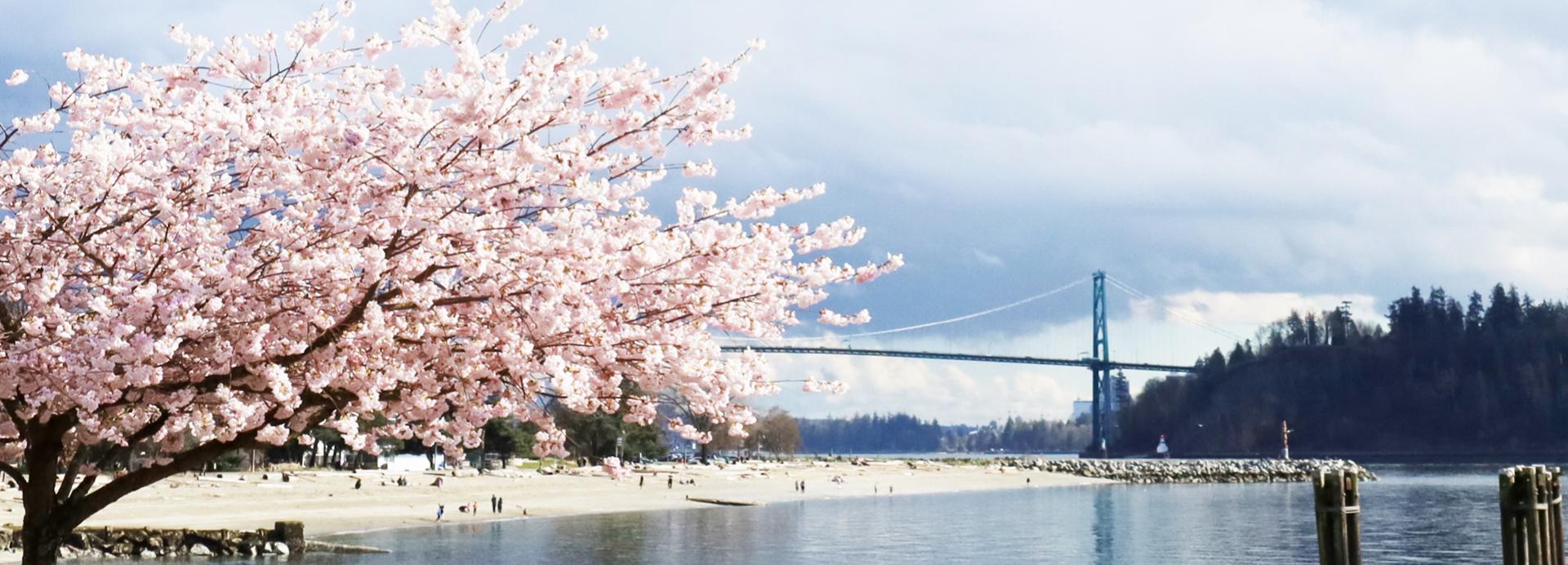 1. Homepage Image Spring -1920x768