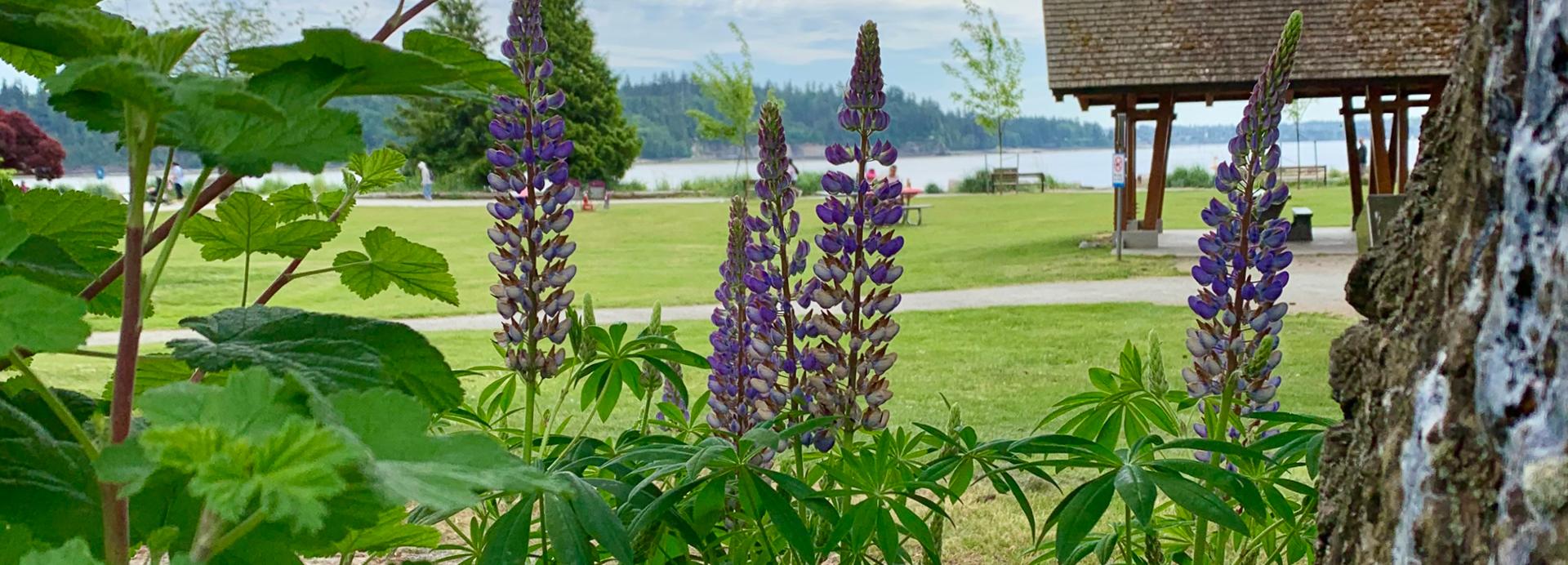 3. Homepage Image Spring -1920x768