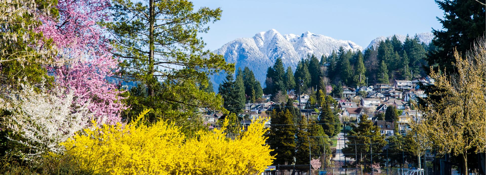 4. Homepage Image Spring - 1920x768