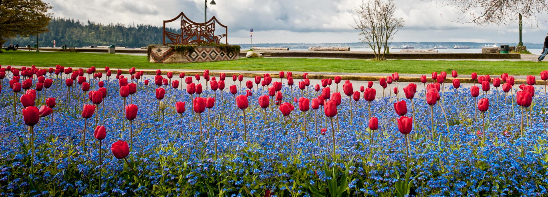 5. Homepage Image Spring - 1920x768