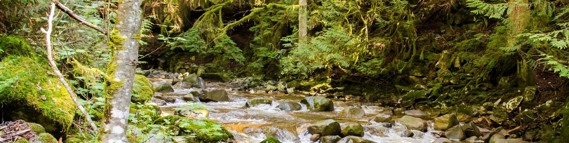 Climate and Environment Page - Cypress Falls